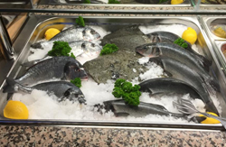 fisch